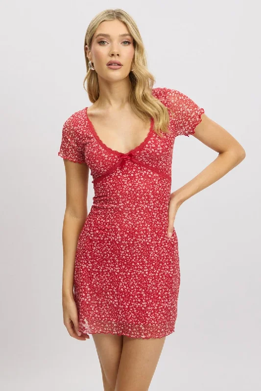 Red Ditsy Mesh Dress V Neck Mini